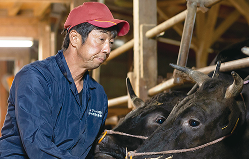 繁殖・肥育一貫経営で高品質の「福島牛」を。